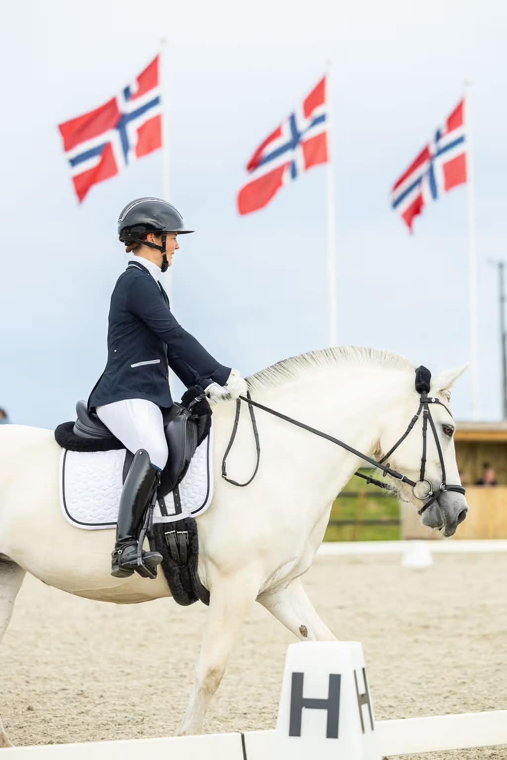 Rytter på hest, flagg i bakgrunnen
