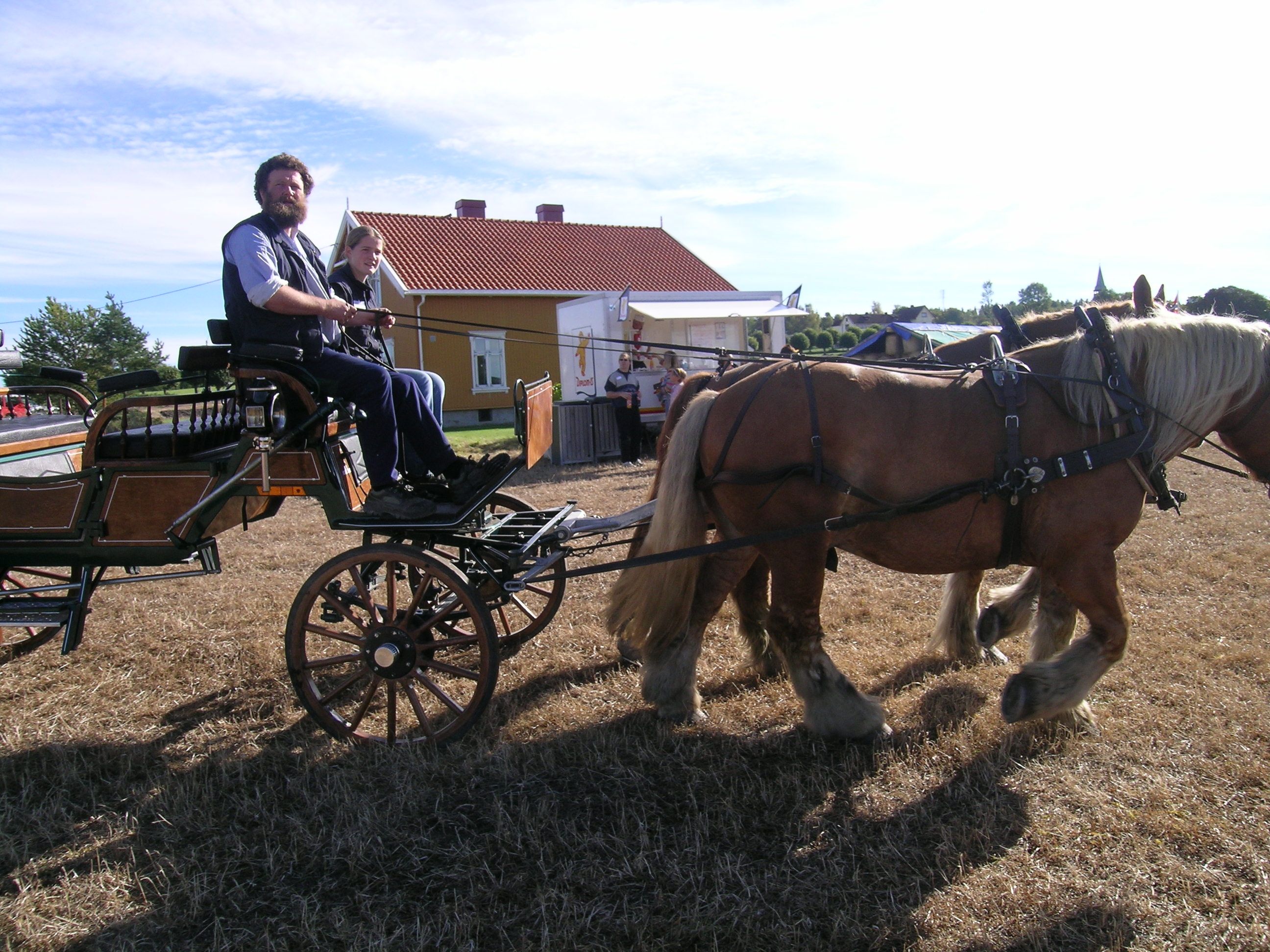Stallmester Jørgen Kvarme og elev kjører hest og vogn på et jorde.