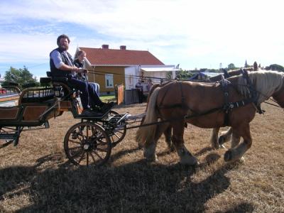 Stallmester Jørgen Kvarme og elev kjører hest og vogn på et jorde.
