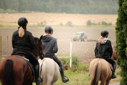 Tre hester bakfra med ryttere, traktor som harver i bakgrunnen