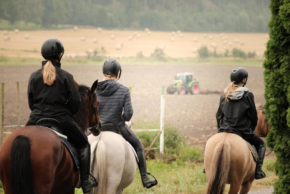 Hest med elev på ryggen.