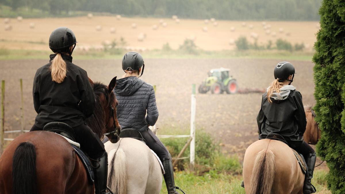 Hest med elev på ryggen.