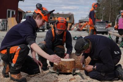 Elever med motorsagutstyr rundt en vedkubbe.