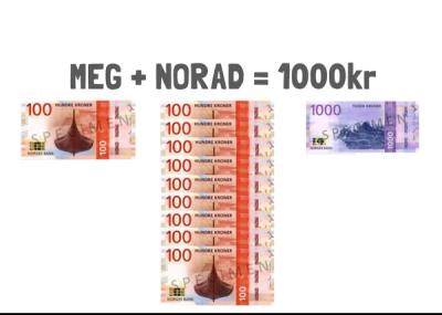 Modell 100 kr + 900 kr = 1000 kr