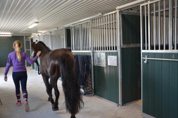 Elev på vei ut av stall med hest.