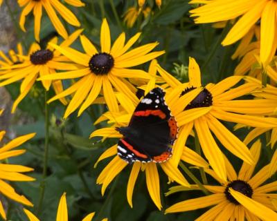 Elever i ring rundt Einar ute i skogen