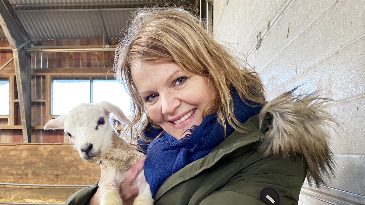 Sospedlærer som holder et lam.