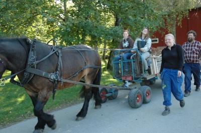 Hest med vogn. To elever kjører, mens en elev og lærer går ved siden av.