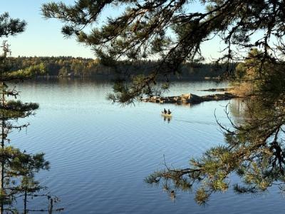 Stemningsbilde fra land og utover vannet.