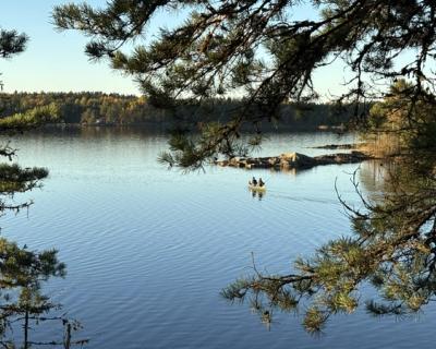 Stemningsbilde fra land og utover vannet.