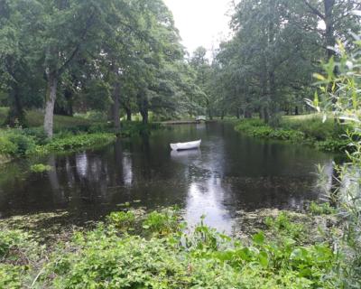 En liten hvit båt plassert midt ute i en dam omringet av grønne planter og trær.