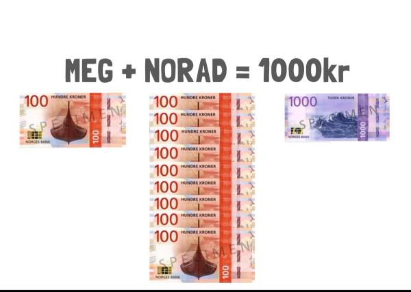 Norad støtter 90 % av prosjektet. 