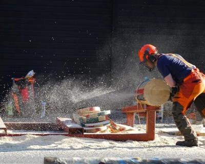 Øvelse med motorsag.