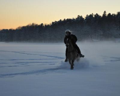 Elev som rir hest på jode som er dekket med snø.