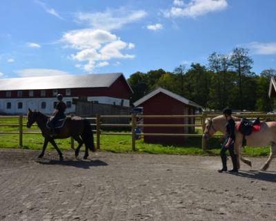 To elever med hester på ridebane.