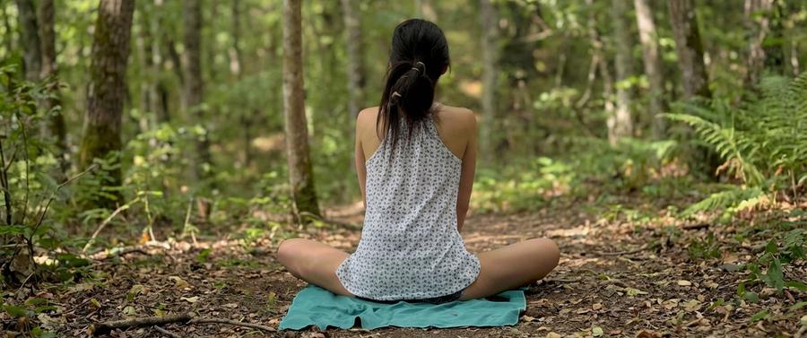Meditazione nel bosco