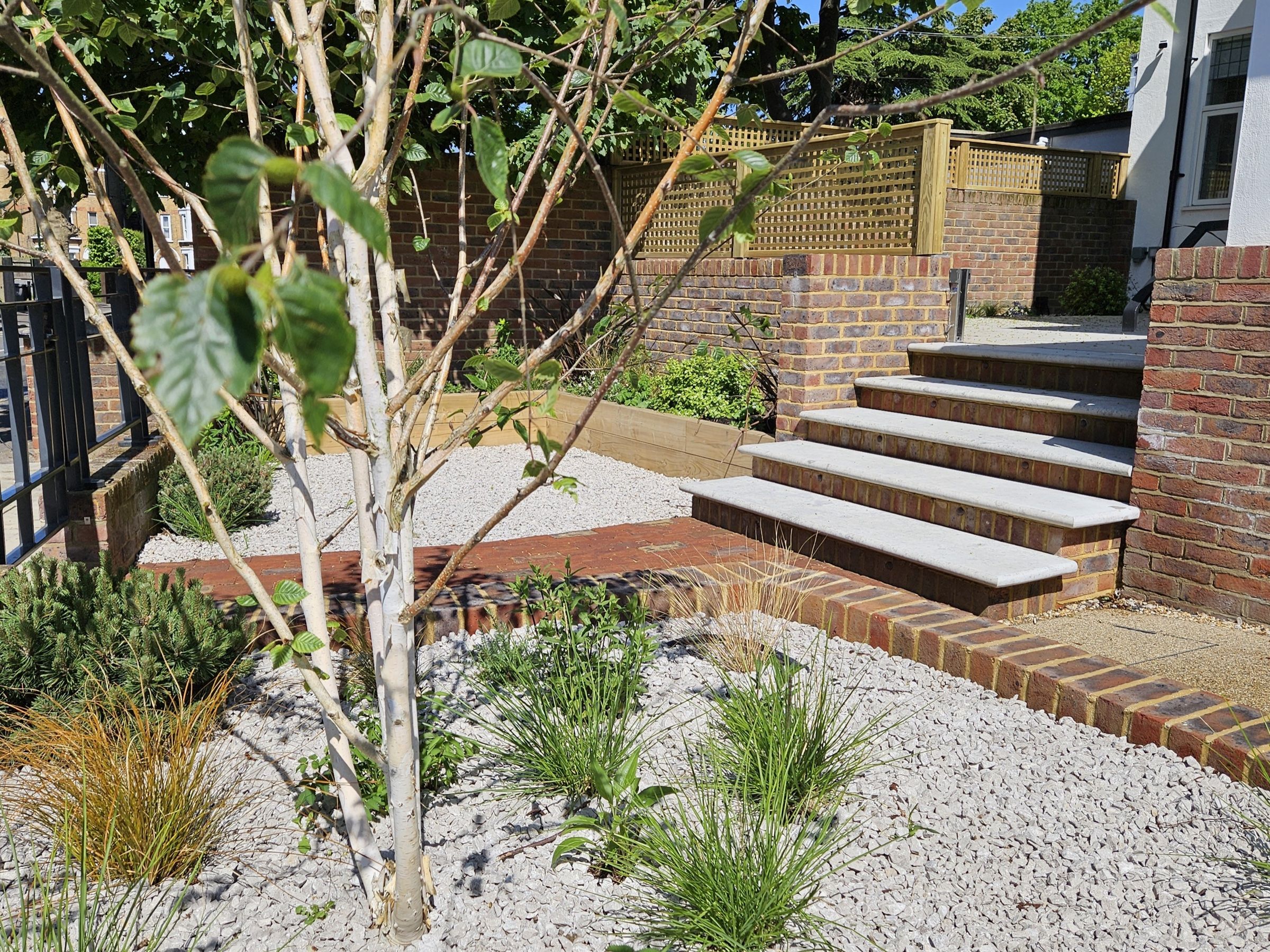 Front garden landscaping with structured planting