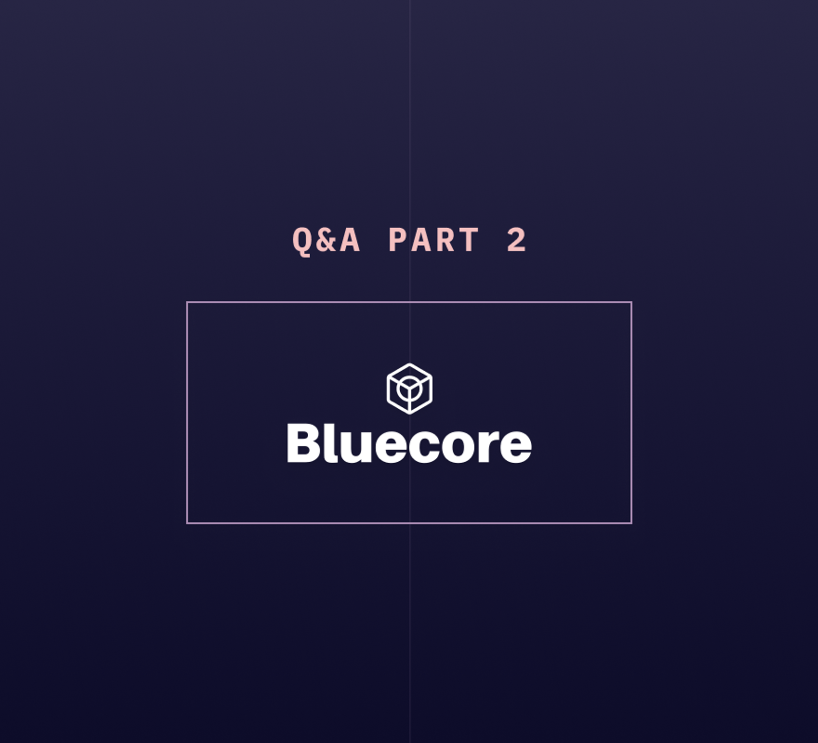 Q&A with Bluecore’s Data Team: Part 2