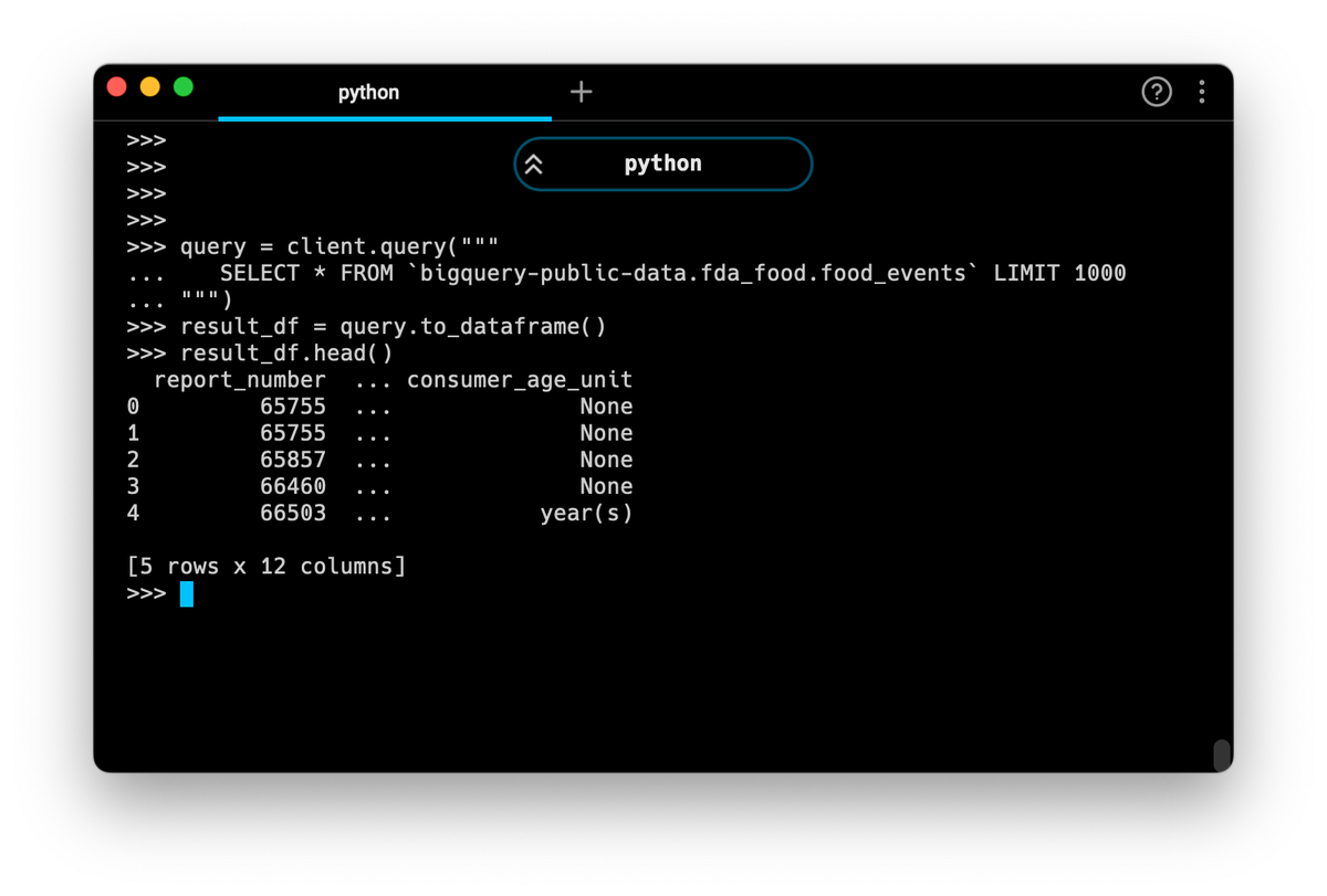 Reading data from BigQuery into a pandas DataFrame