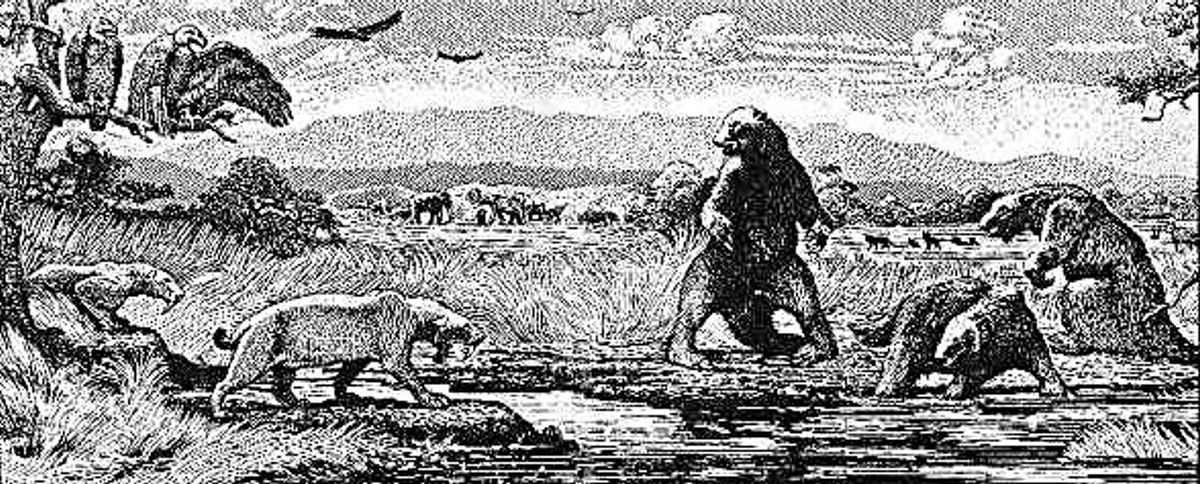 tar-pit