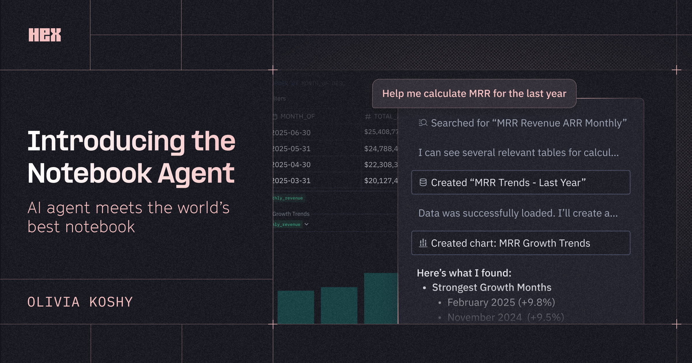 Introducing the Notebook Agent | Hex
