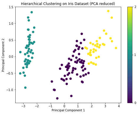 Hierarchical Clustering