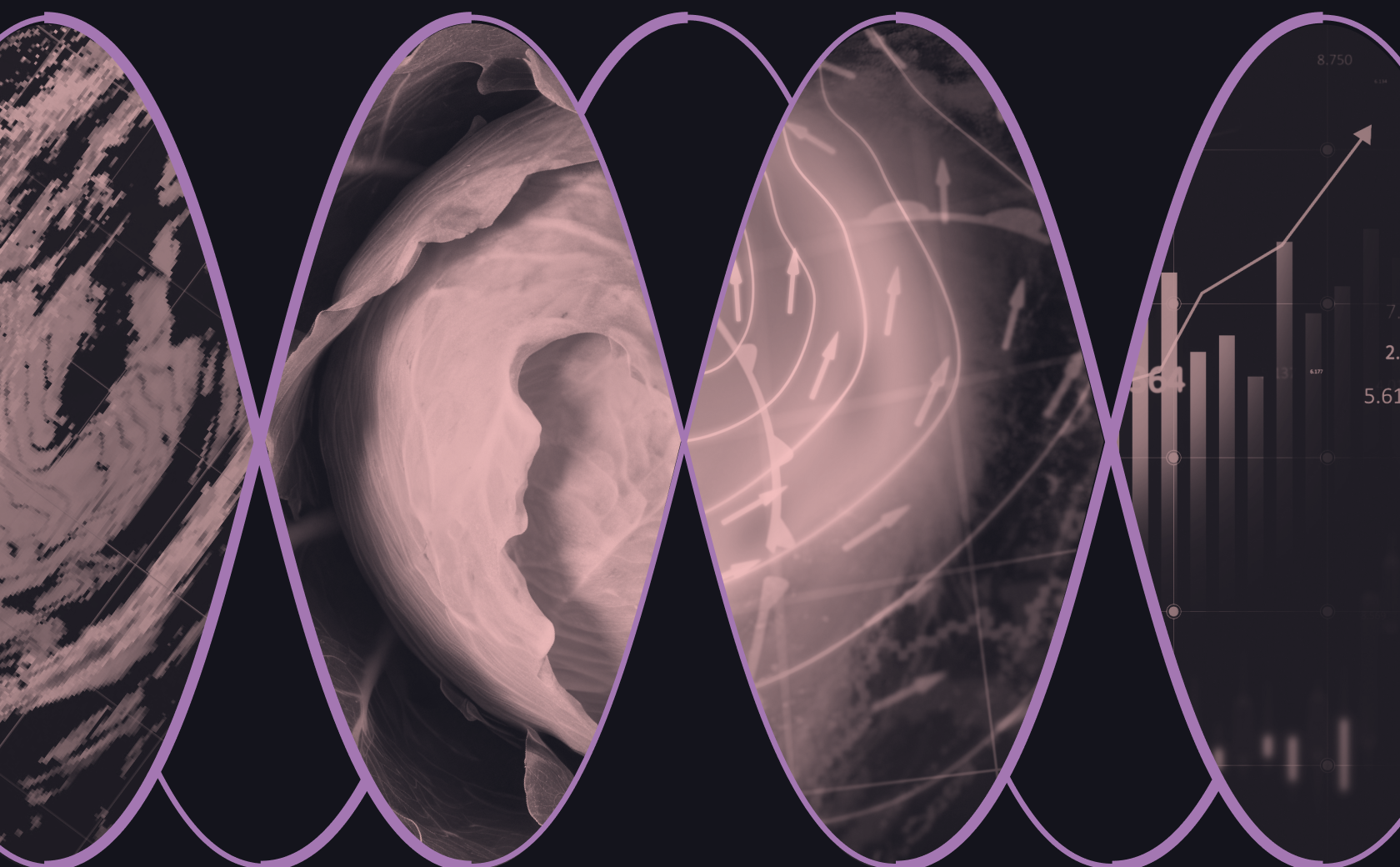 Hex in the Wild: January 2026 spotlights