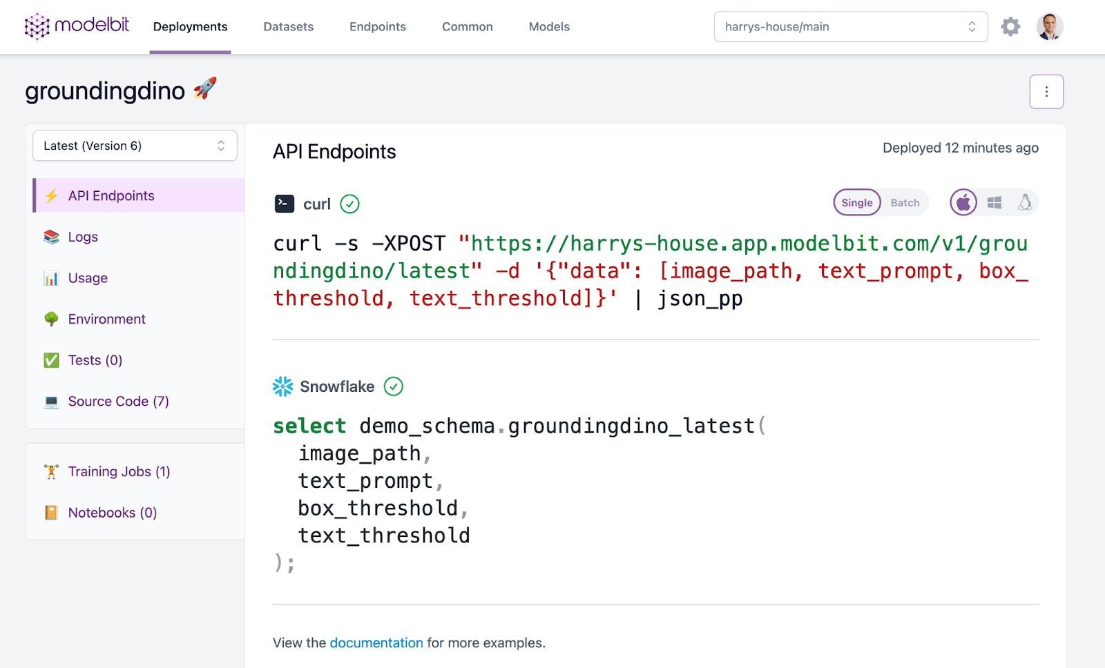 Modelbit Snowflake API