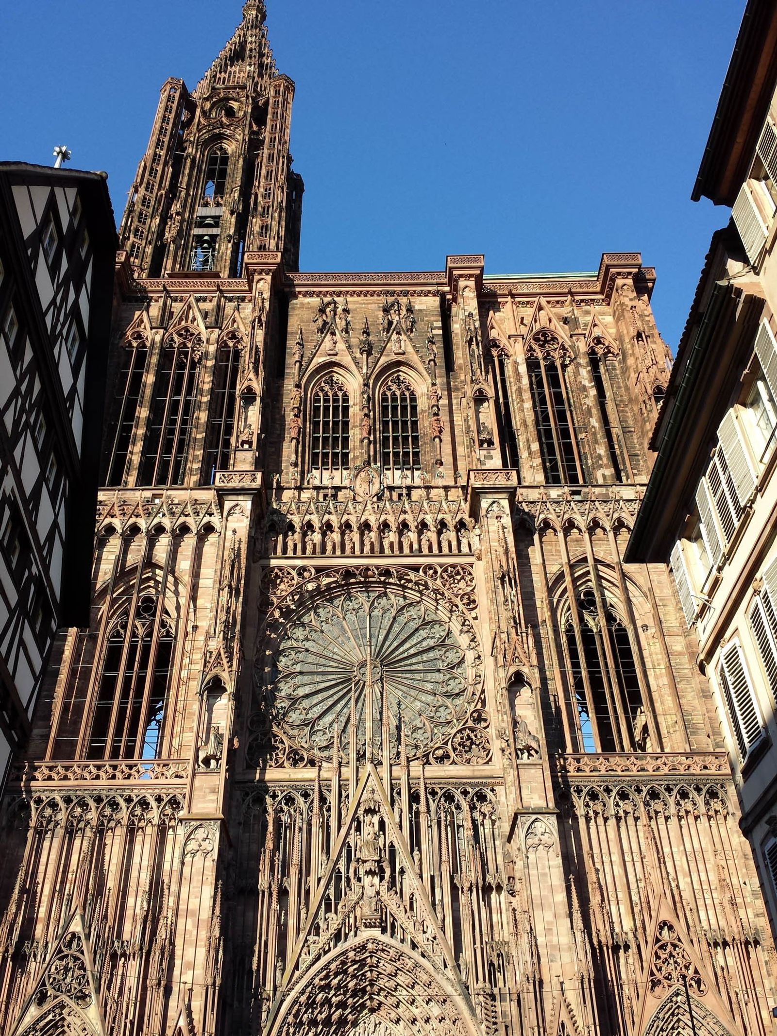 Vacances en Alsace — photo 2