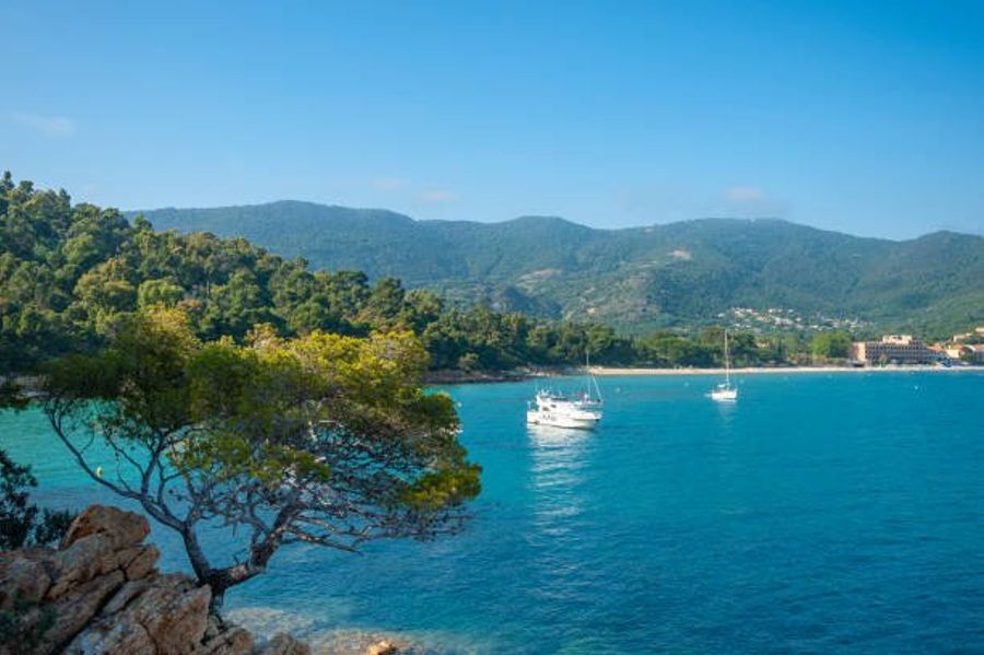 Domaine d'Aiguebelle — Le Lavandou, Var