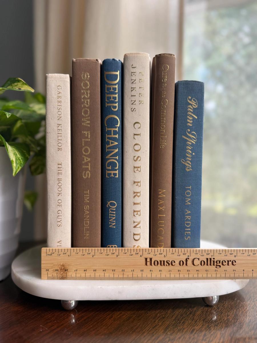 Curated collection of weathered blue, oyster, sand, linen, and driftwood-toned books with soft coastal character.