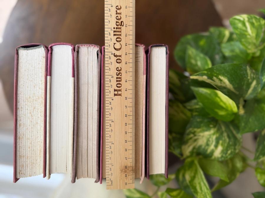 Curated collection of blush, dusty rose, warm taupe, and softly muted neutral books.