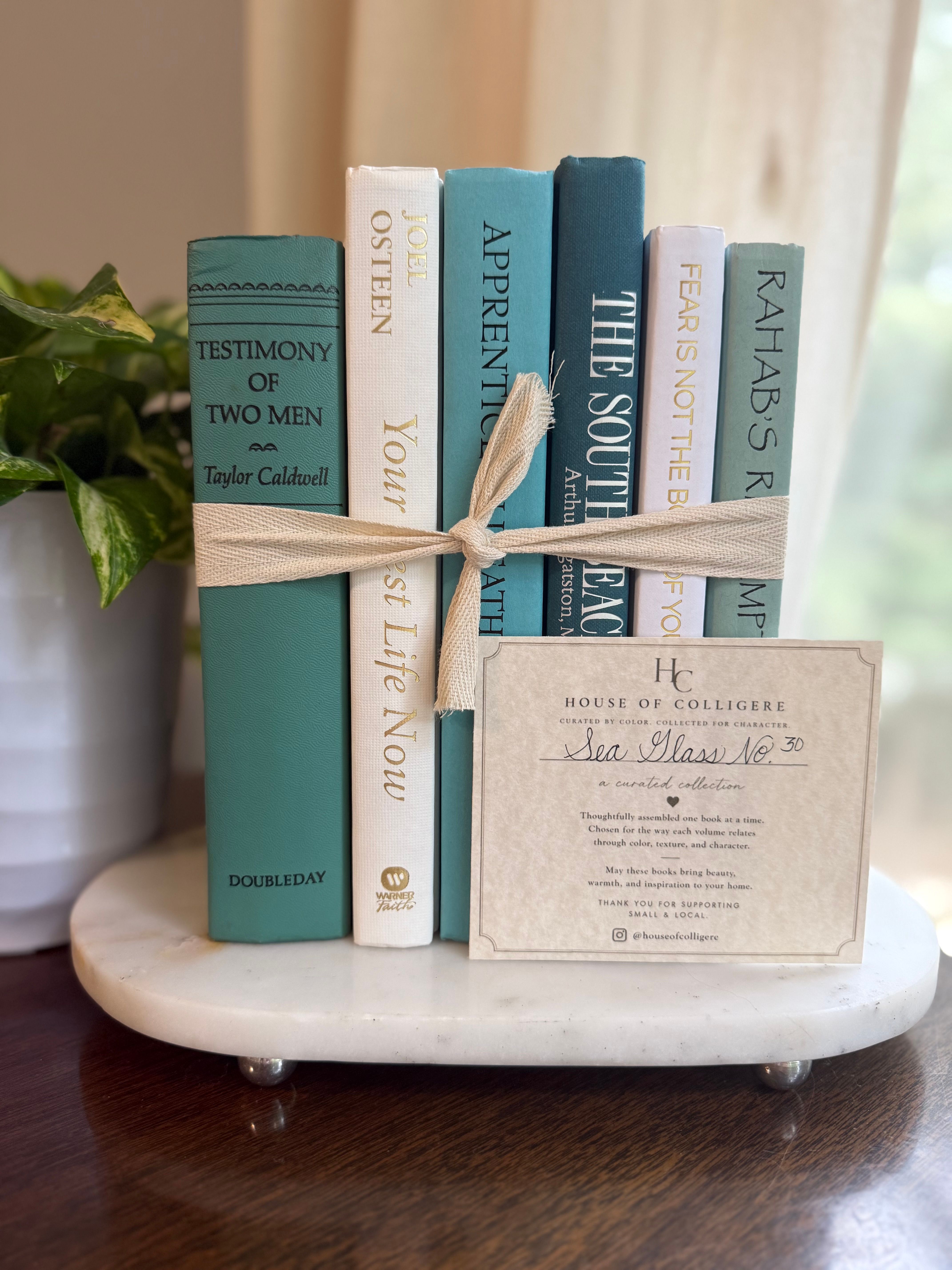 Curated collection of soft blue, aqua, seafoam, and muted coastal-toned books.