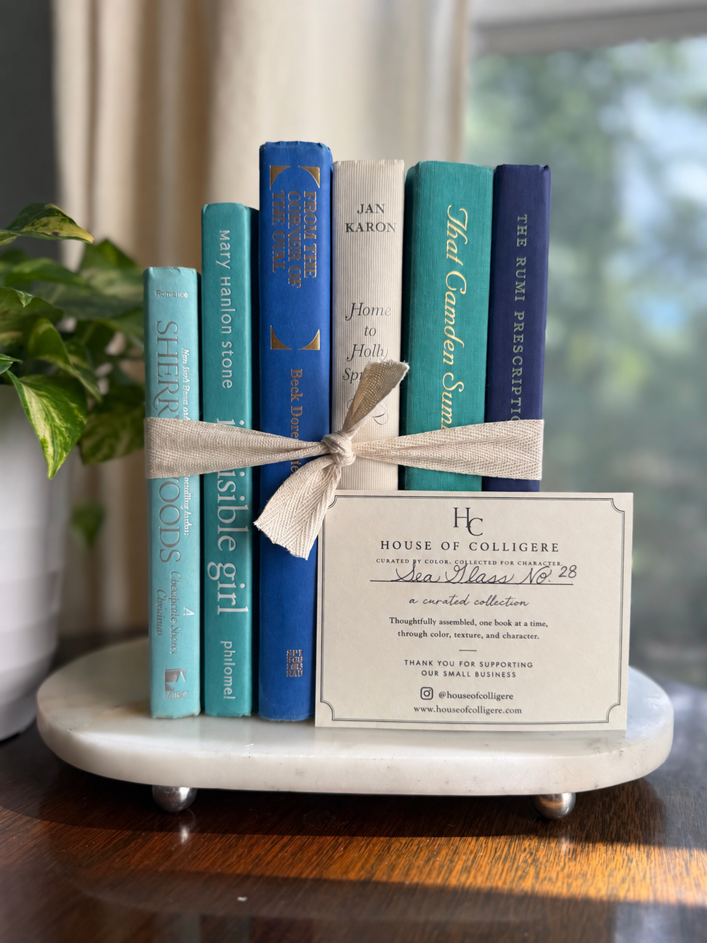 Curated collection of soft blue, aqua, seafoam, and muted coastal-toned books.