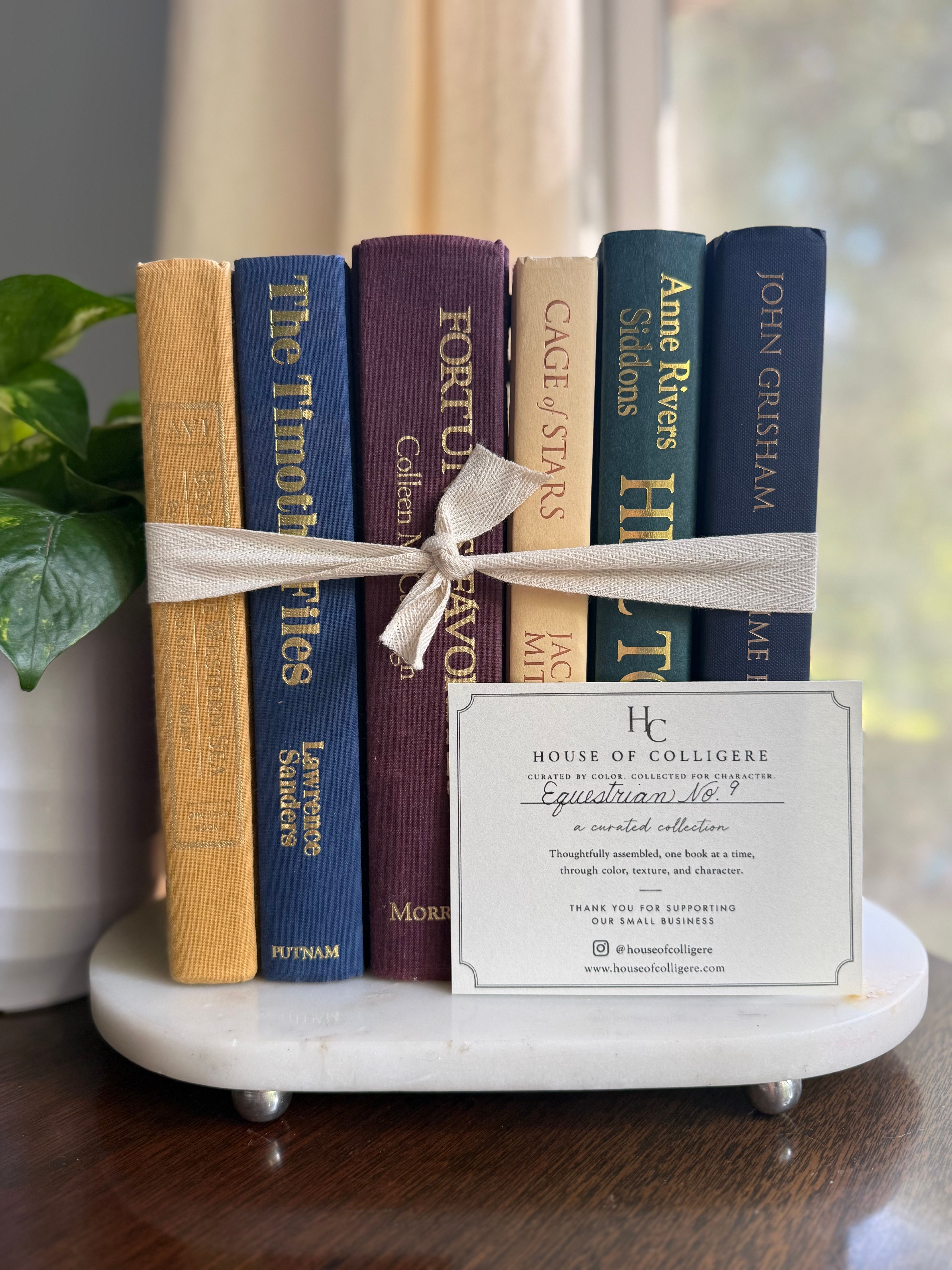 Curated collection of rich brown, hunter green, deep navy, and warm ivory books with classic gold accents.