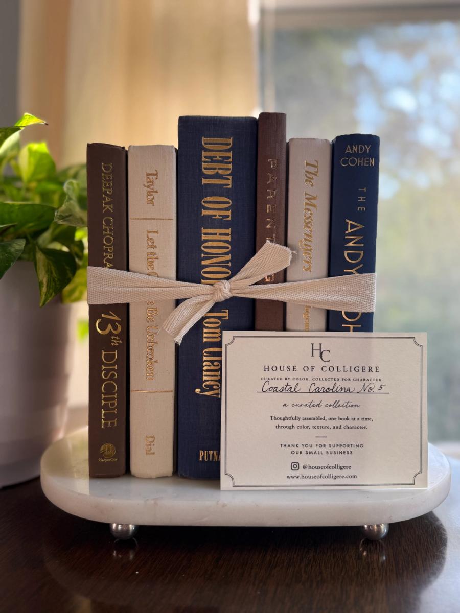 Curated collection of weathered blue, oyster, sand, linen, and driftwood-toned books with soft coastal character.