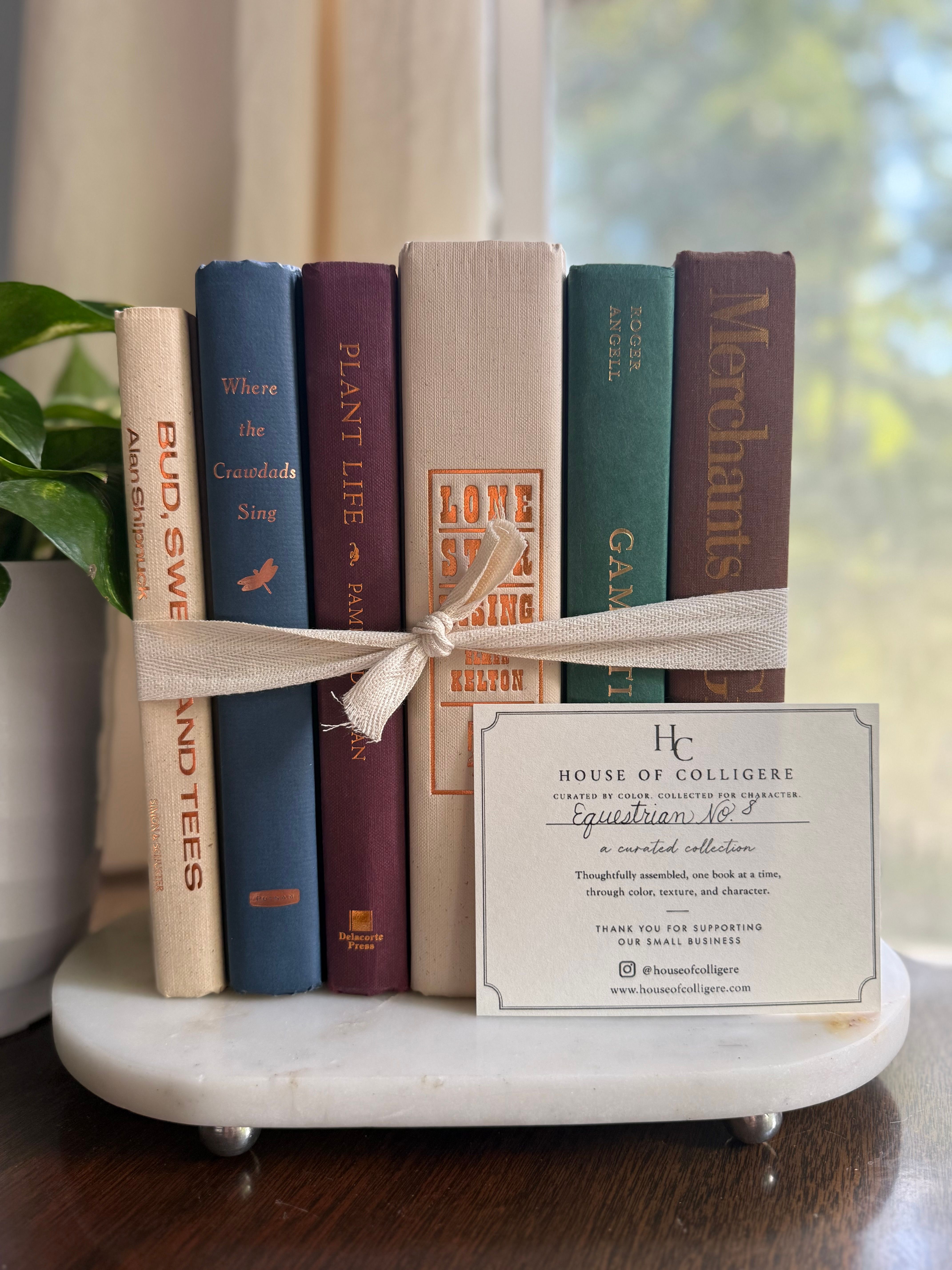 Curated collection of rich brown, hunter green, deep navy, and warm ivory books with classic gold accents.