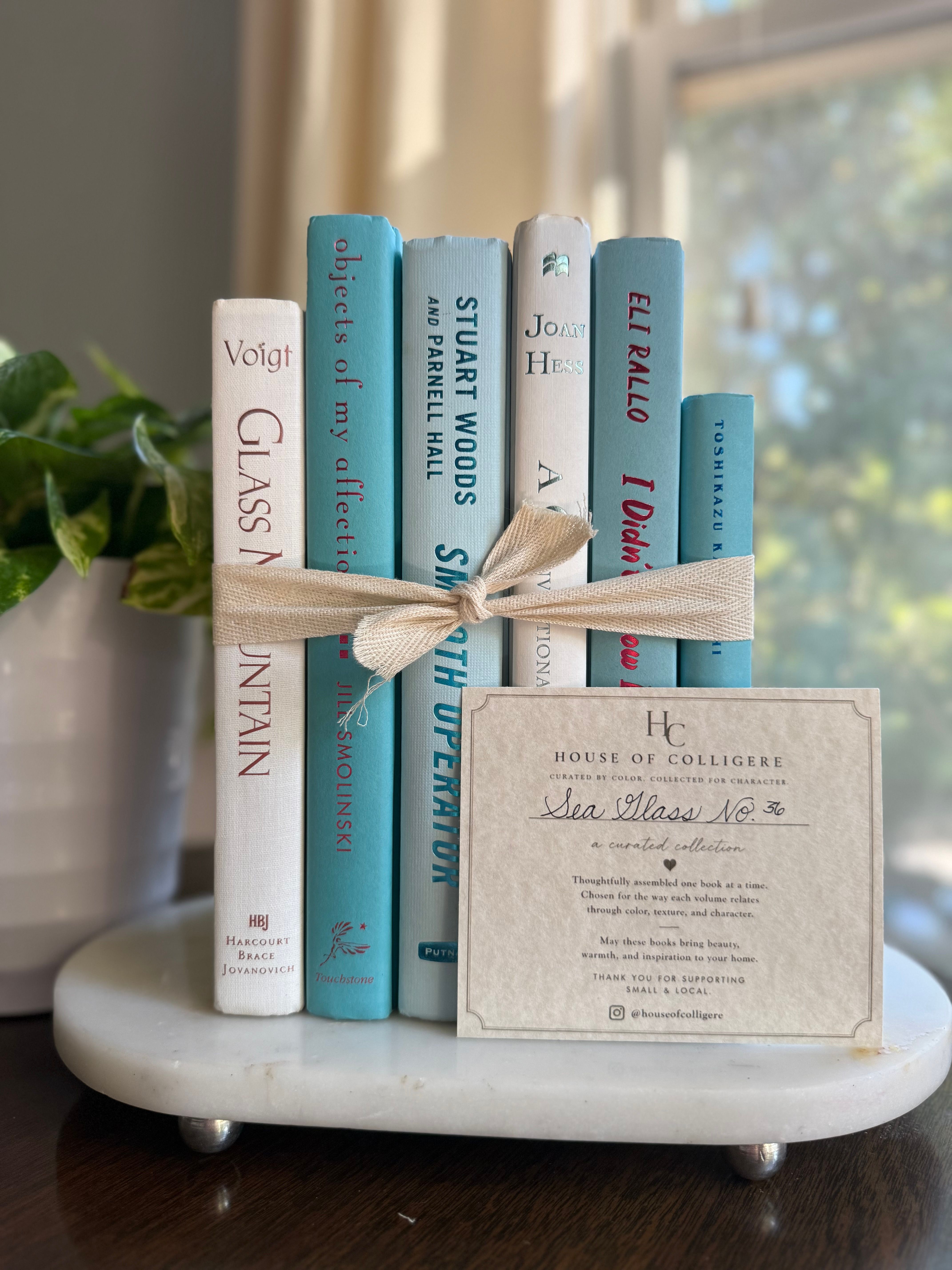 Curated collection of soft blue, aqua, seafoam, and muted coastal-toned books.