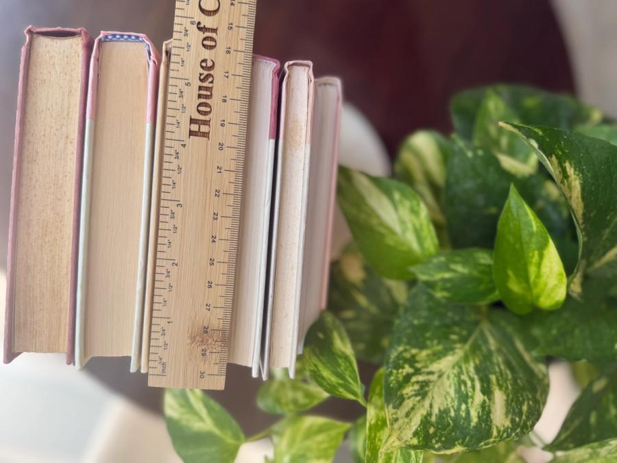 Curated collection of blush, dusty rose, warm taupe, and softly muted neutral books.