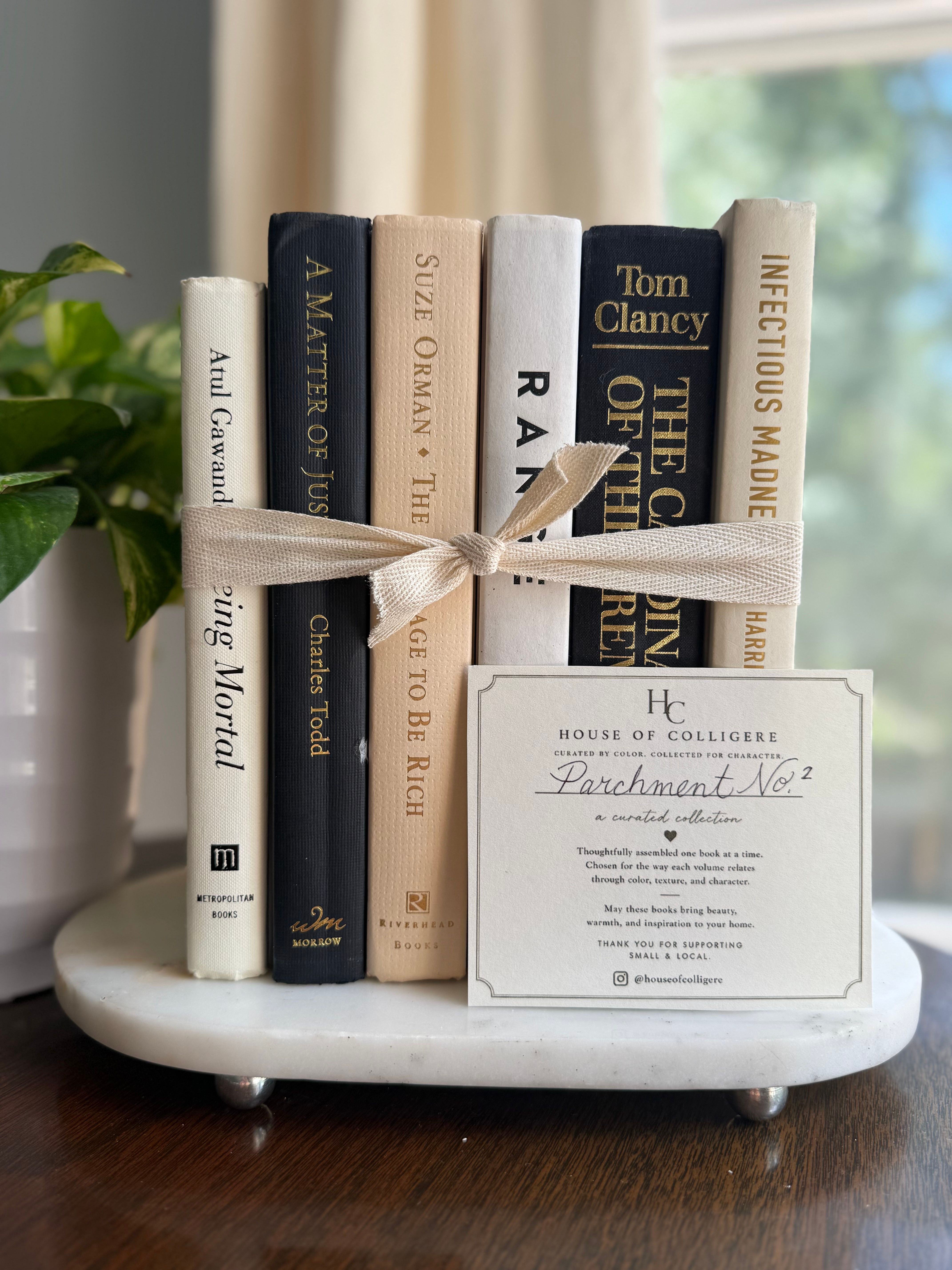 Curated collection of parchment, cream, warm beige, and black books with soft neutral contrast and classic detailing.