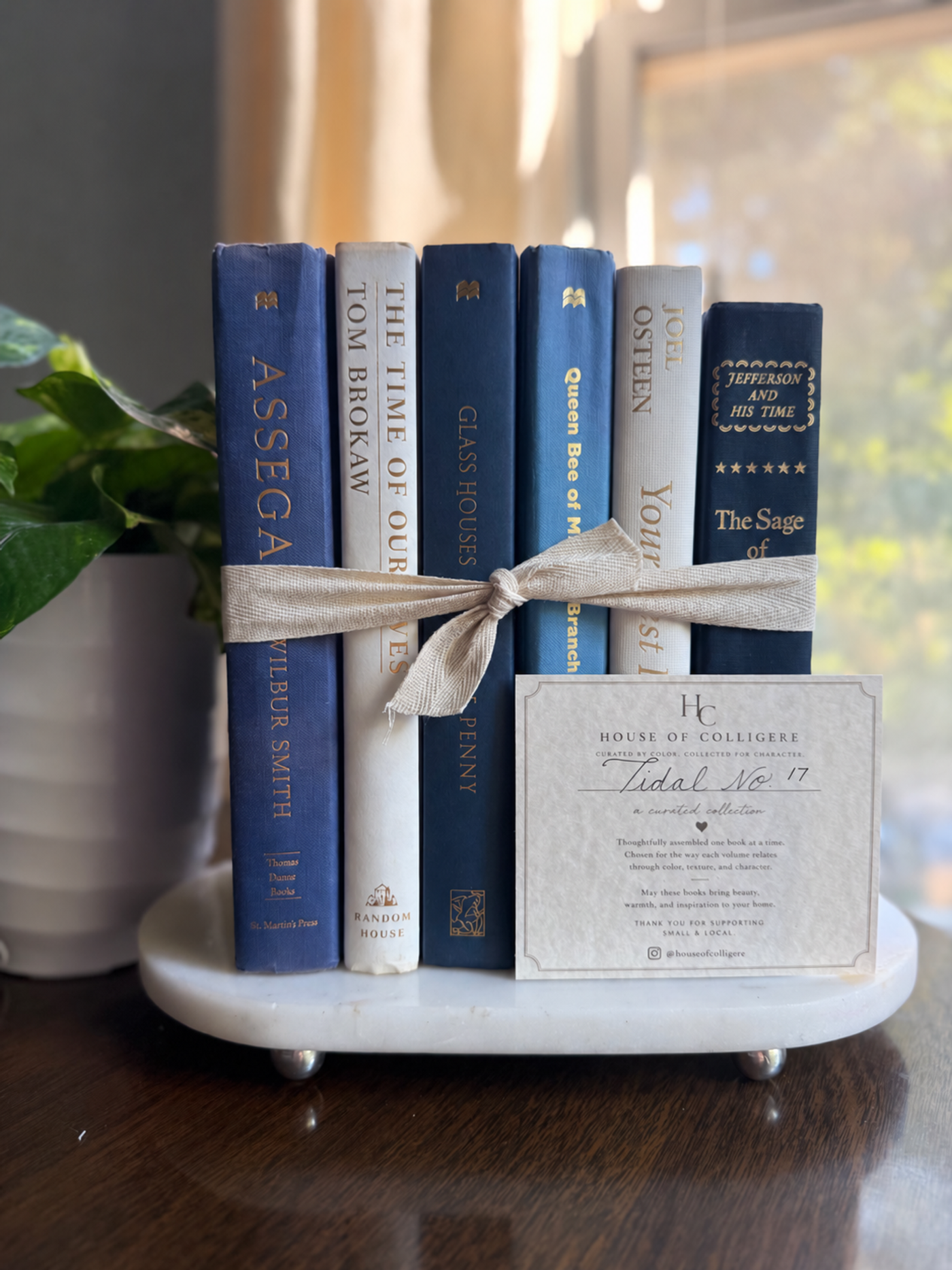 Curated collection of layered blue books ranging from pale coastal blue to deeper ocean tones.