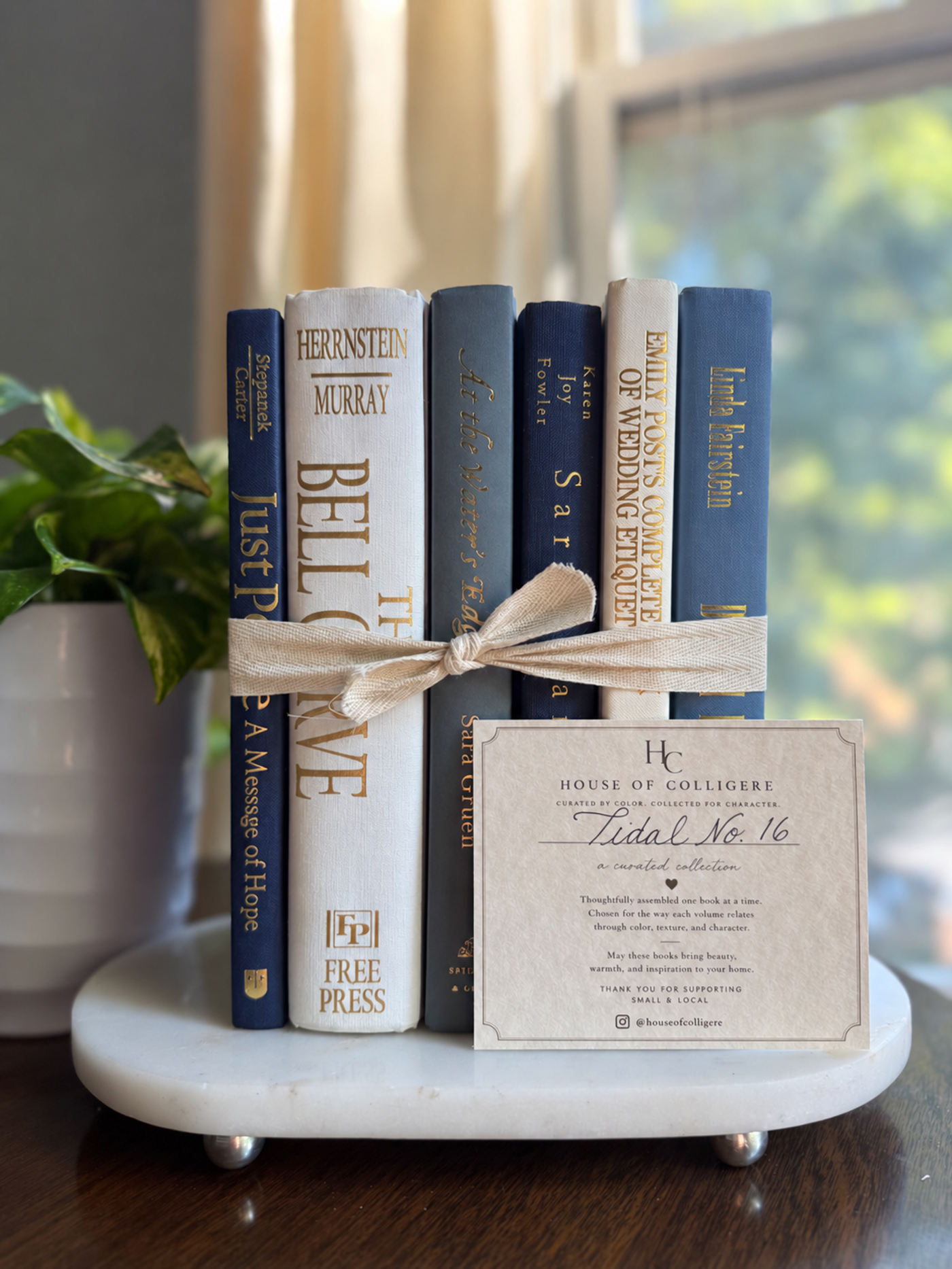 Curated collection of layered blue books ranging from pale coastal blue to deeper ocean tones.