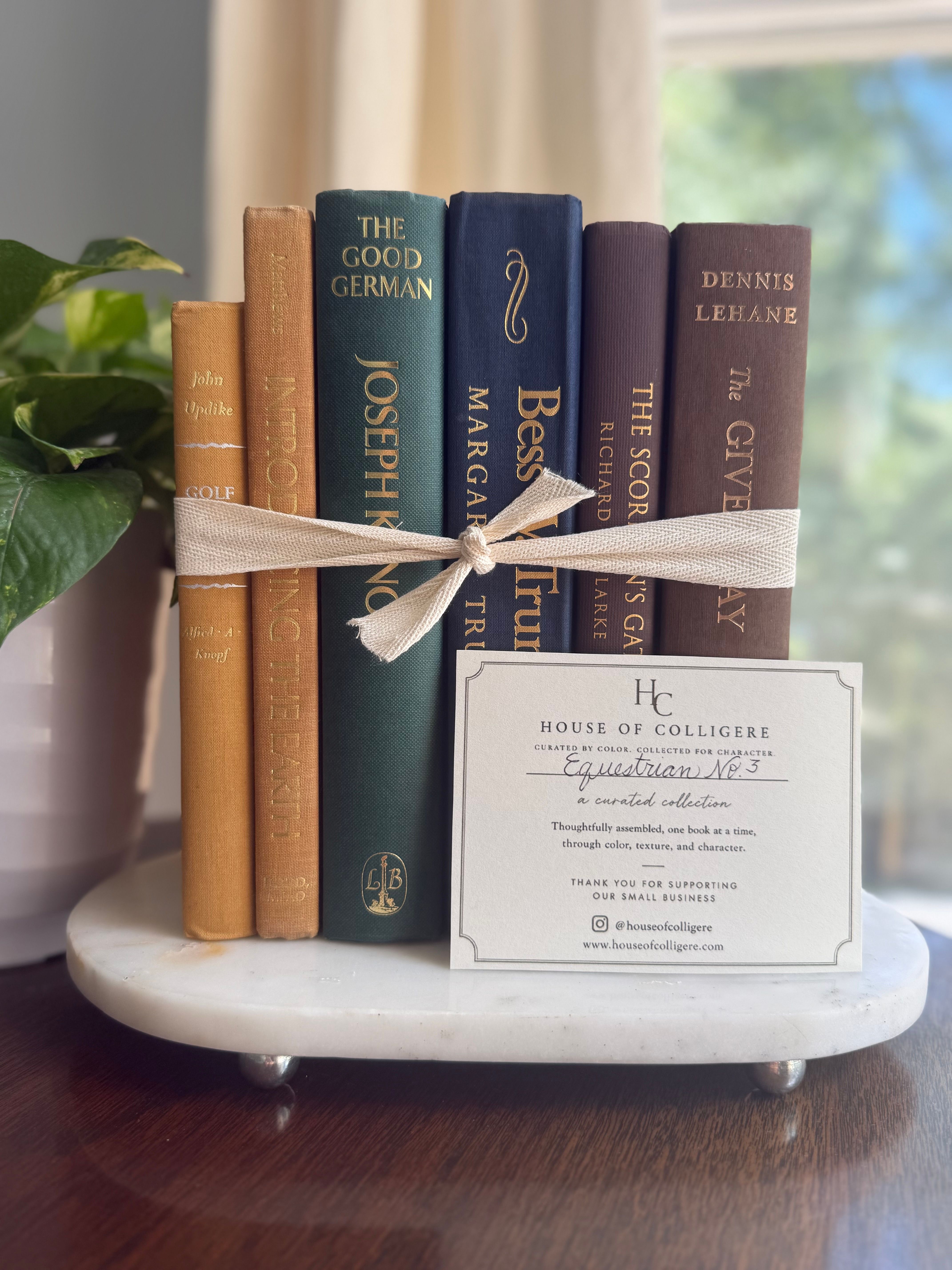 Curated collection of rich brown, hunter green, deep navy, and warm ivory books with classic gold accents.