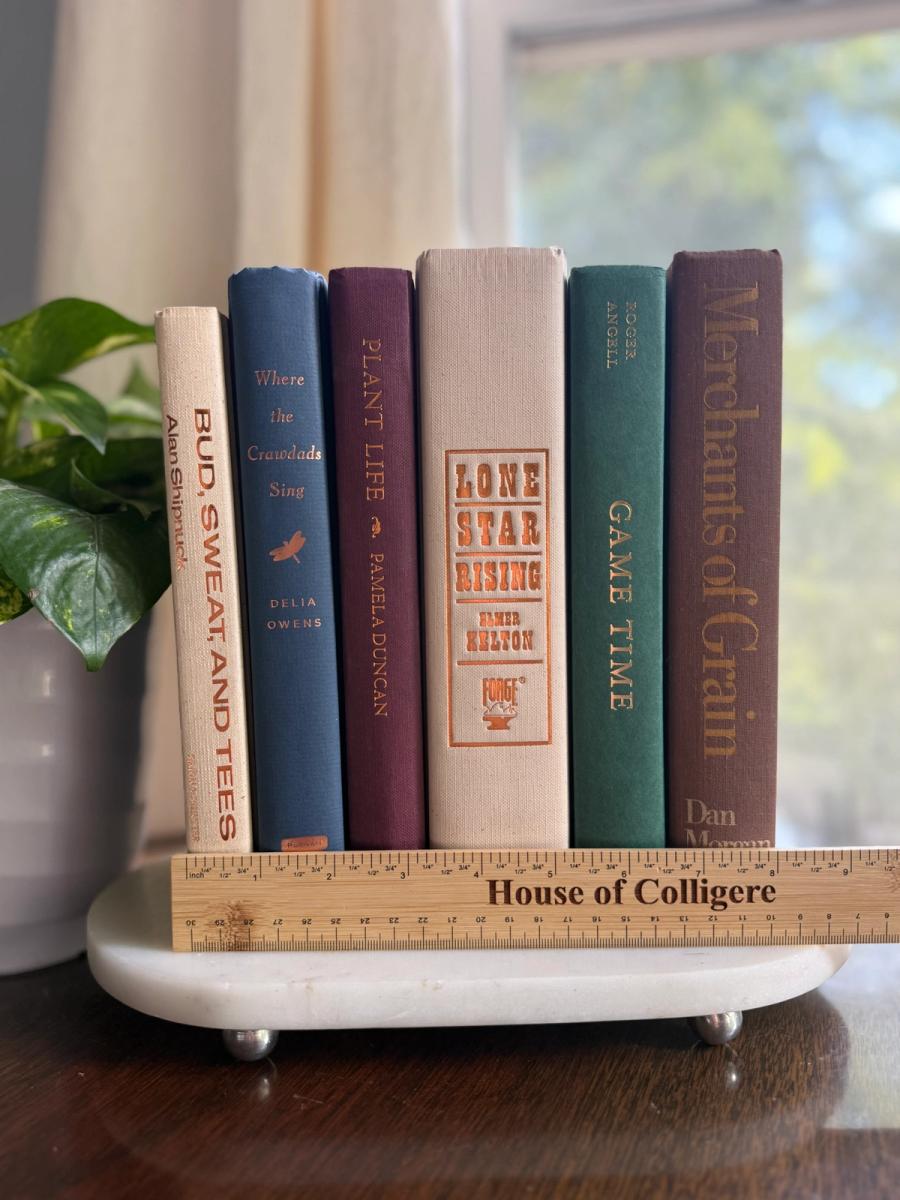 Curated collection of rich brown, hunter green, deep navy, and warm ivory books with classic gold accents.