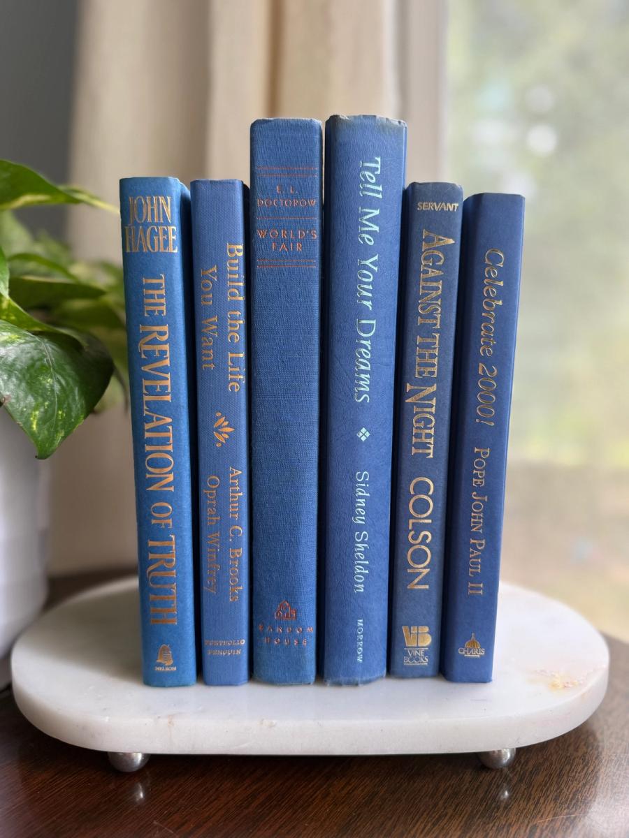 Curated collection of deep navy, warm ivory, brown, and gold-accented books with classic traditional character.