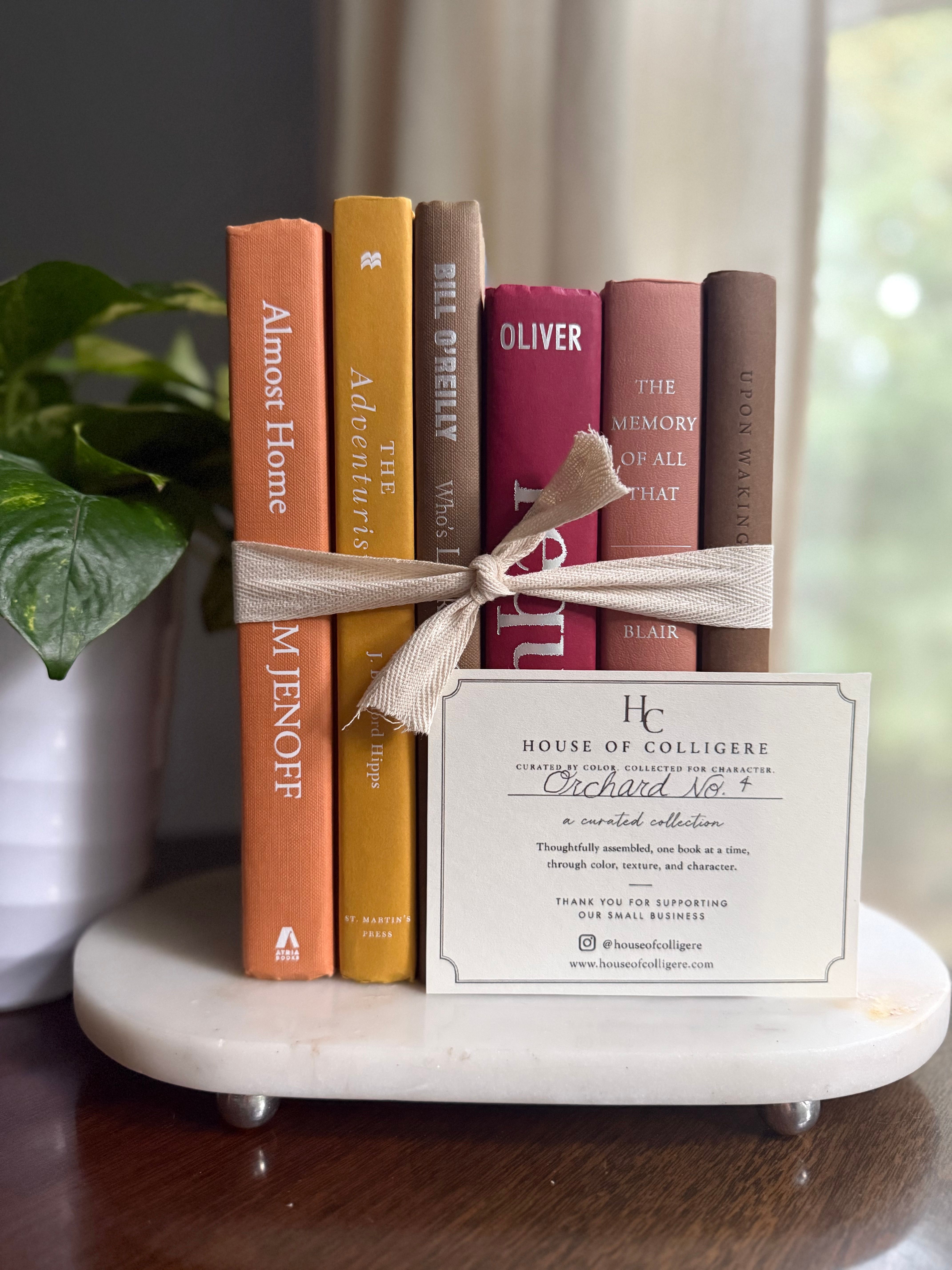 Curated collection of dusty rose, plum, warm brown, taupe, and muted berry-toned books with soft vintage character.