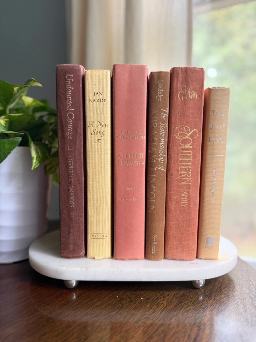 Curated collection of dusty rose, plum, warm brown, taupe, and muted berry-toned books with soft vintage character.