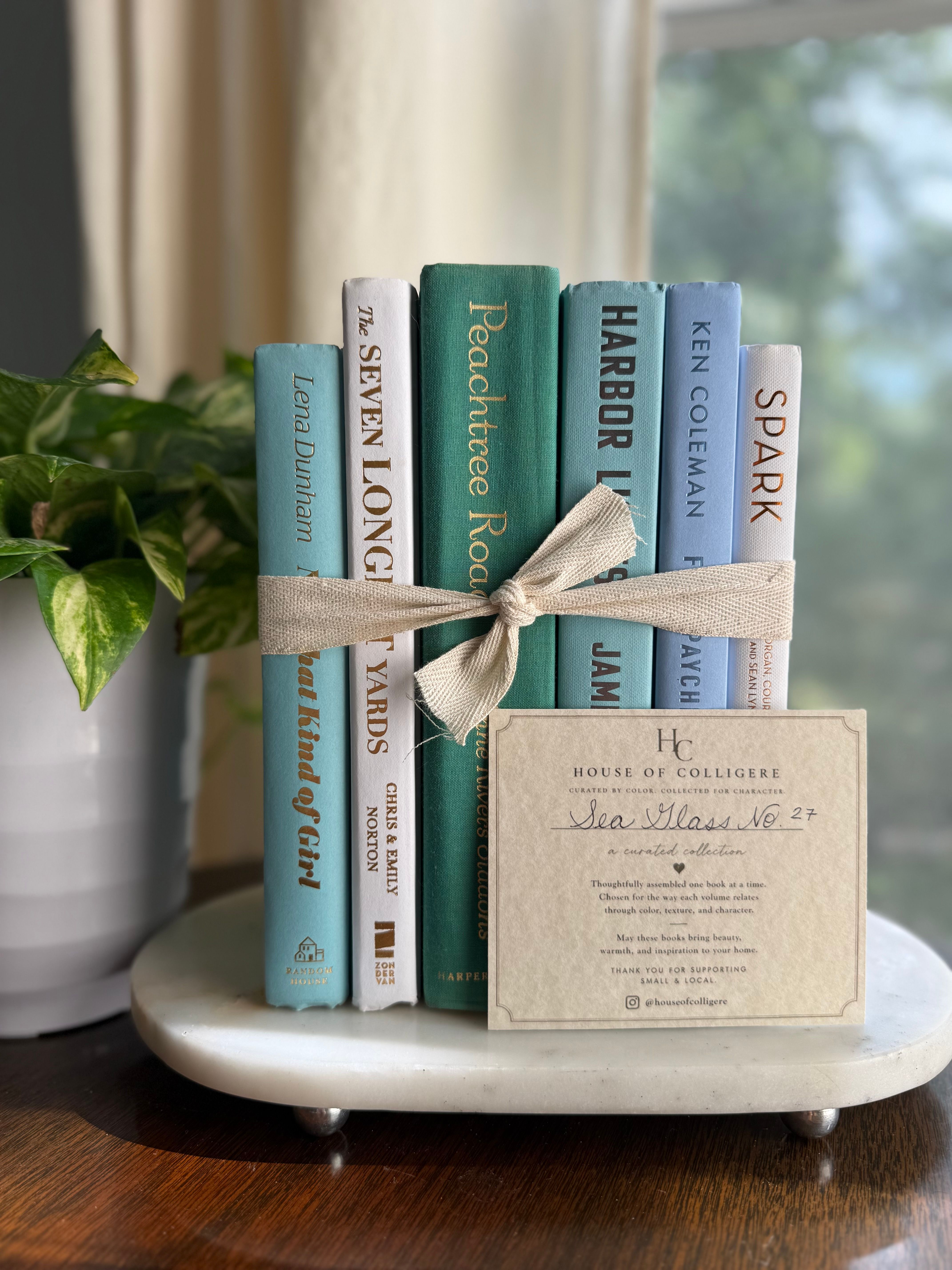 Curated collection of soft blue, aqua, seafoam, and muted coastal-toned books.