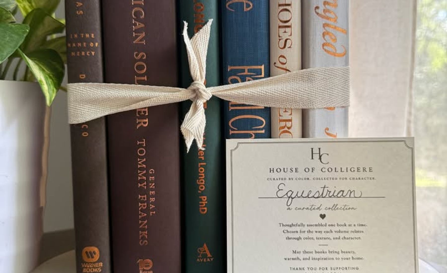 Curated collection of rich brown, hunter green, deep navy, and warm ivory books with classic gold accents.
