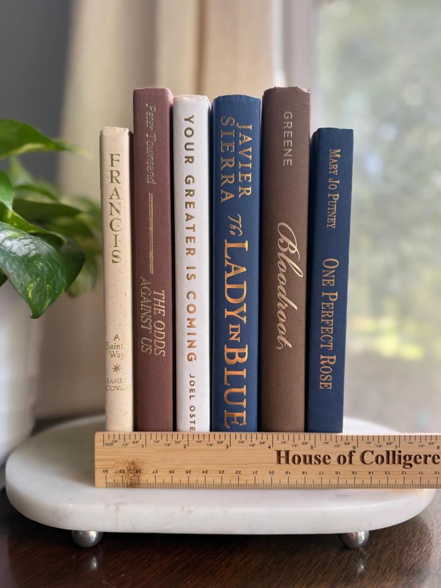 Curated collection of weathered blue, oyster, sand, linen, and driftwood-toned books with soft coastal character.